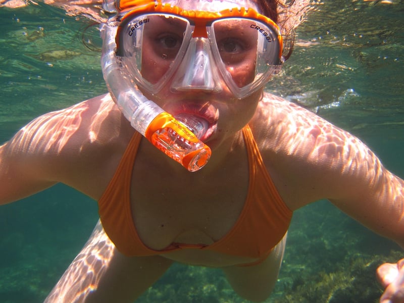 Ocean Dives